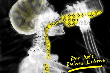 IMG_1967.PNG